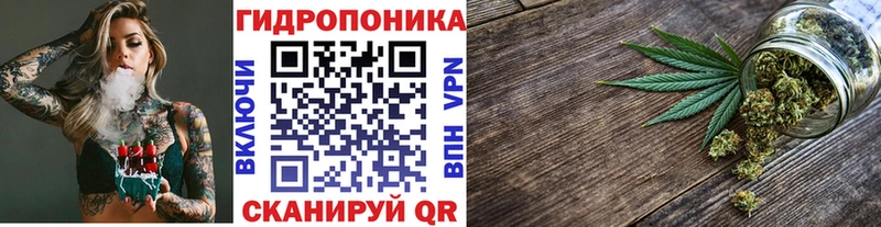 Псилоцибиновые грибы Дубовка