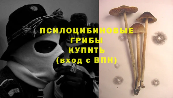 альфа пвп Гусиноозёрск