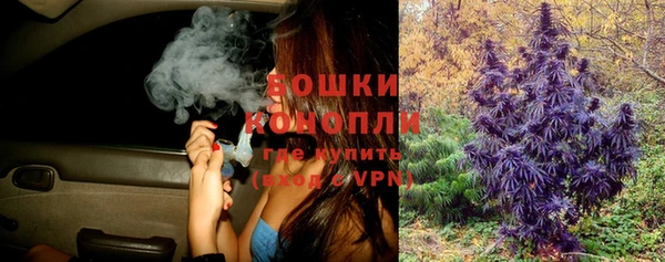 ALPHA-PVP Гусев