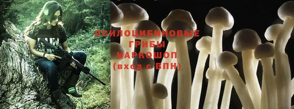 кокс Алзамай