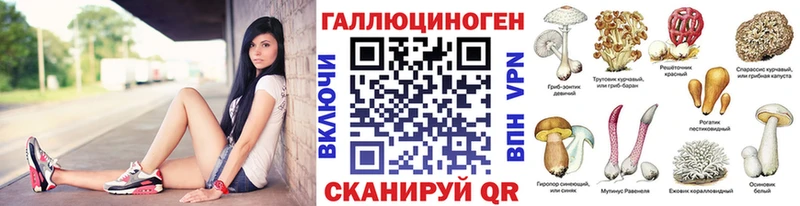 Галлюциногенные грибы ЛСД ОМГ ОМГ онион Дубовка